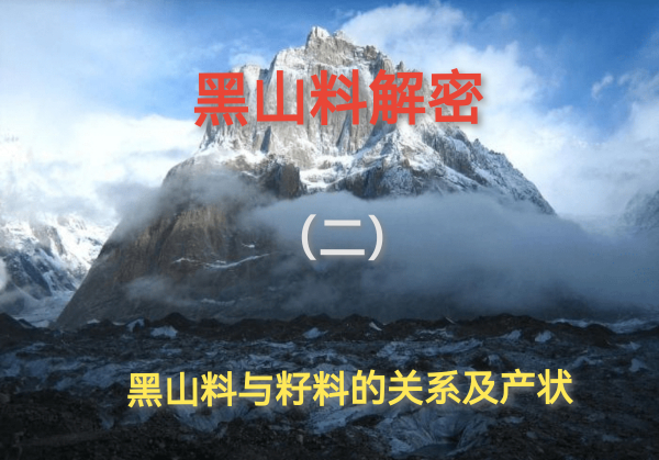 甄玉坊细说黑山料（二）：黑山料特点、产状以及和田玉黑山料和籽料的关系